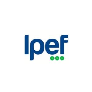 Ipef